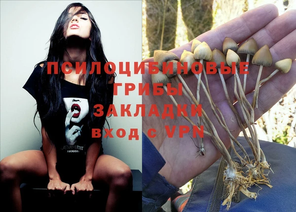 а пвп мука Балахна